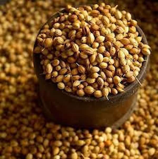 تصویر 1 از قیمت تخم گشنیز عطاری + خرید باور نکردنی